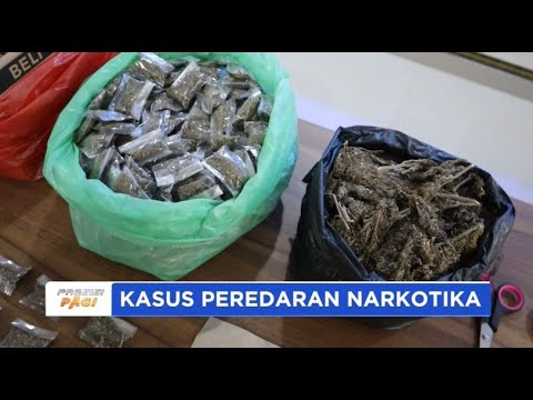 KAPOLRES TANAH KARO UNGKAP KASUS NARKOTIKA JENIS GANJA