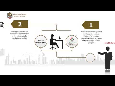 Work Permit Replacement