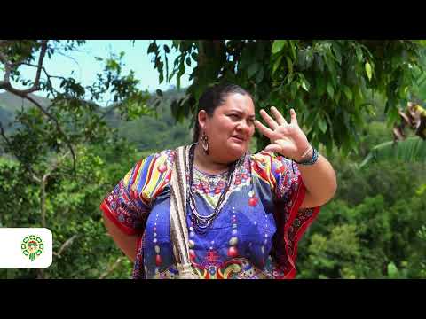 NUEVO COMEDOR ESCOLAR BENEFICIARA A 40 ESTUDIANTES INDIGENAS EN PUEBLO BELLO