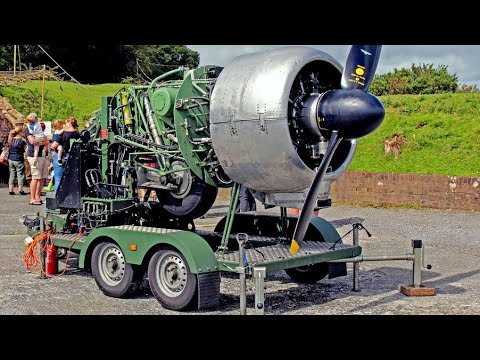 Thumbnail for Juicy Cold Start AVRO ANSON with Armstrong Siddeley Cheetah Engines and Sound by Armstrong Siddeley