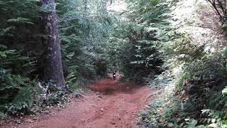 preview picture of video 'Thomas hillclimb Nicolai Mt OHV Oregon'