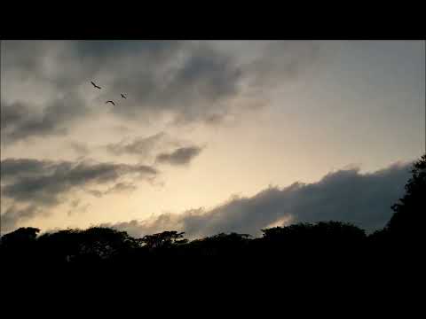 Garbarek-Vitous-Erskine Trio, Rocella Ionica (1991)