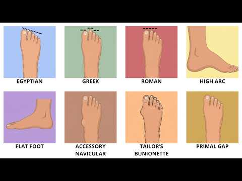 Every Human Foot Shape Explained