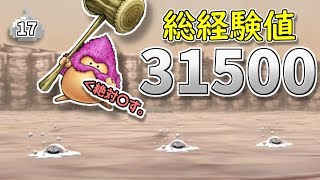 #17 メタルチケットではぐれメタルに遭遇!?たかゆきは倒せるのか!?【テリーのワンダーランドSP】