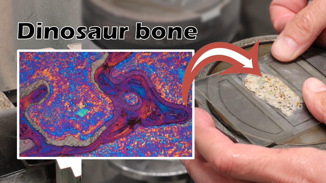 How to identify minerals in dinosaur bone and rocks (making thin sections)