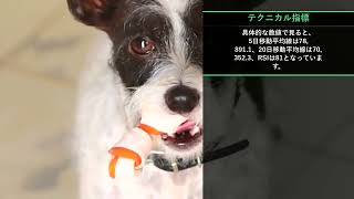 本日の投資注目TOP10【8/29 15:00】