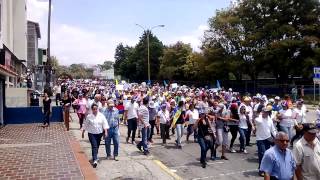 preview picture of video 'Marcha  Dia de la mujer Merida Venezuela. Av Don Tulio'