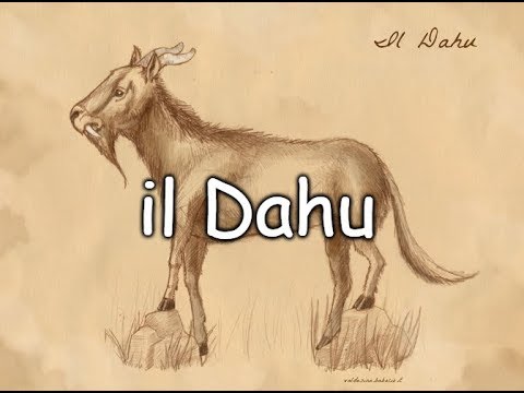 Il Dahu - feat MY NAME IS HERMES