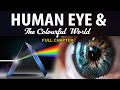 Human Eye And Colourful World Full Chapter Animation Class 10 Science Chapter 11 CBSE