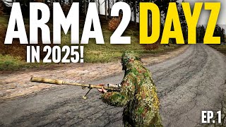 Arma 2 DayZ Mod is Still AMAZING in 2025!
