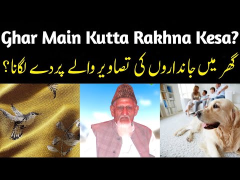 Ghar Main Kutta (Dog) Rakhna Kesa? | Ghar Main Janwron Ya Cartones Waly Pardy Lagana Kesa Hy?