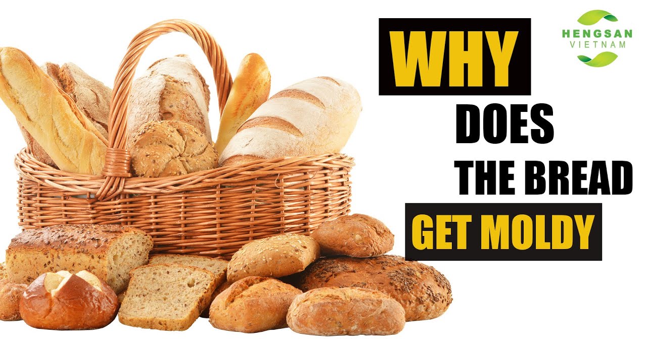 [HENGSAN VIETNAM] -Why does the bread get moldy?