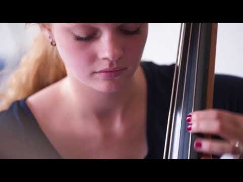 Blickpunkt #1: Instrumentalunterricht an VdM-Musikschulen