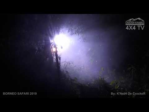 BORNEO SAFARI 2019 - By; K'NetH De CrockeR (SS12) (Part40)