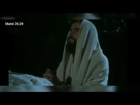 Isus este calea adevărului