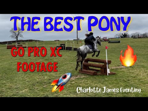 TAKING EOIN XC SCHOOLING || Charlotte James Eventing