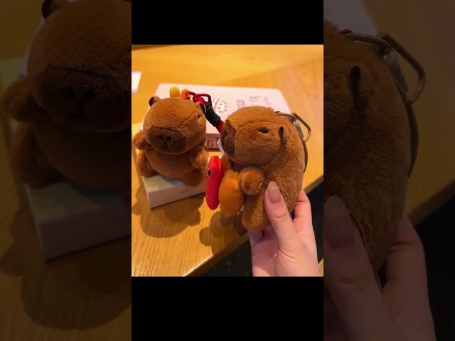 Vídeo relacionado con Zosutetoxo Set de 30 llaveros Capybara: Llavero 3D Bonito de Aleación y Resina, Versátil Llavero para Mujeres para Llaves y Bolsos