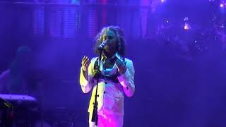 Flaming Lips: All We Have Is Now