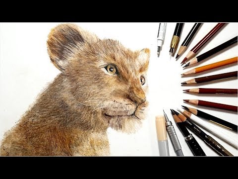 ライオン・キング シンバを描いてみた　Realistic colored pencil drawing of Lion King Simba Video