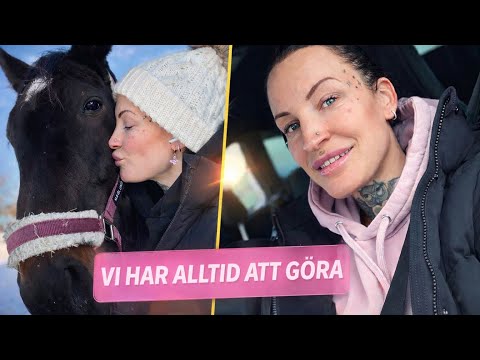 Hästmys & spontan shopping || Vlogg