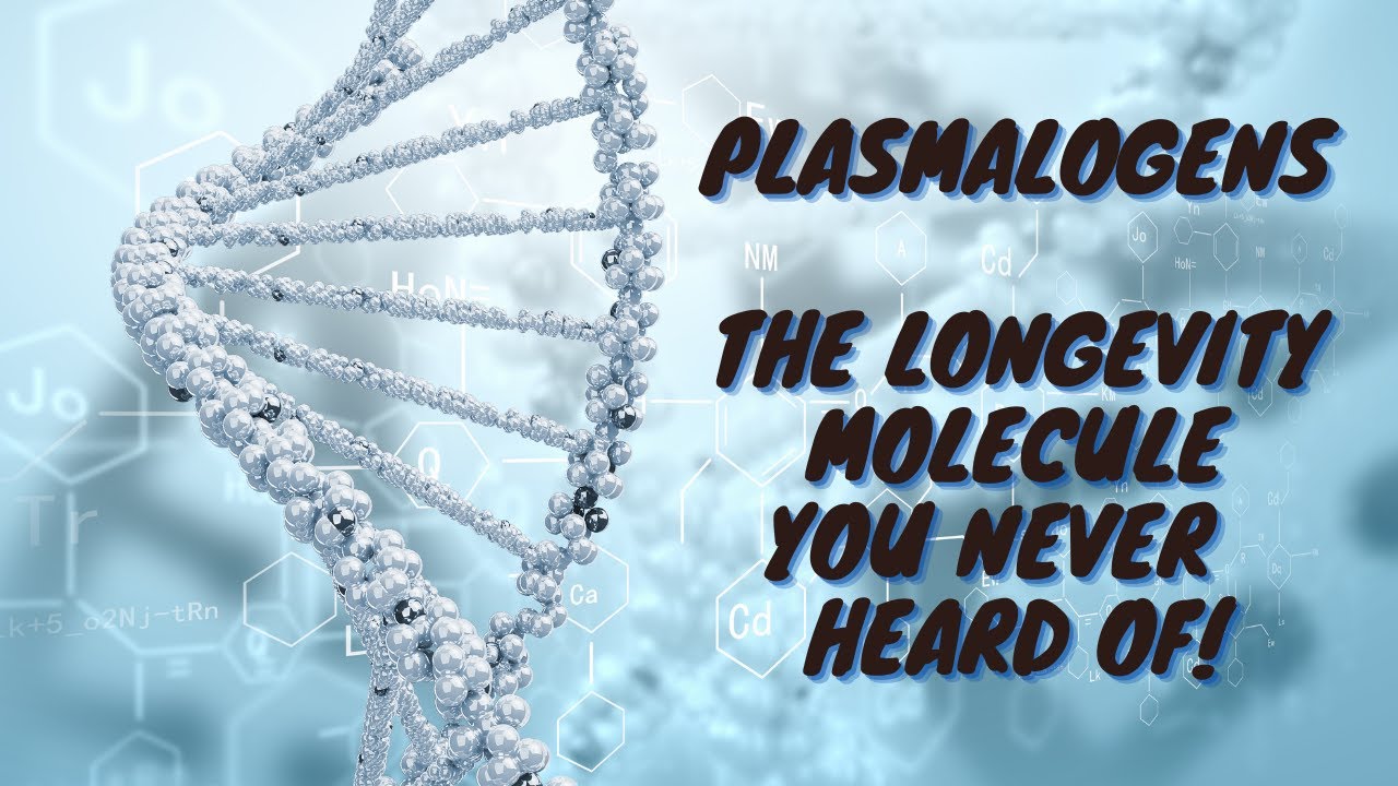Plasmalogens: The Longevity Molecule You Never Heard Of - YouTube
