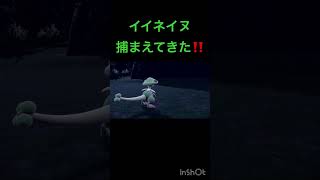 イイネイヌをモンボで捕まえてきた‼️ #ポケモンsv #碧の仮面 #ポケモンdlc
