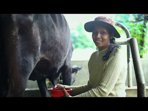 MWSIP livestock development