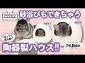 ポットハウス MのYouTubeサムネイル画像