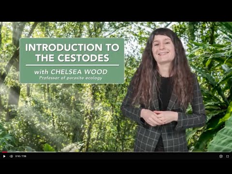 Introduction to the cestodes