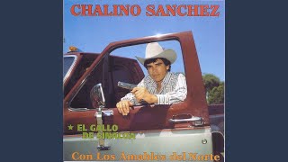 Vestido Anillo y Corona