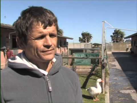 ANDREW FORTUNE A NEW LIFE AND A SHATTERED WRIST H 264   Webcasting