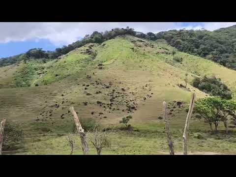 ATUALIZAÇÃO DO CANAL /  FAZENDA BOA VONTADE / ATÉ FAZENDA SÃO ROCK / JOAQUIM GOMES -AL