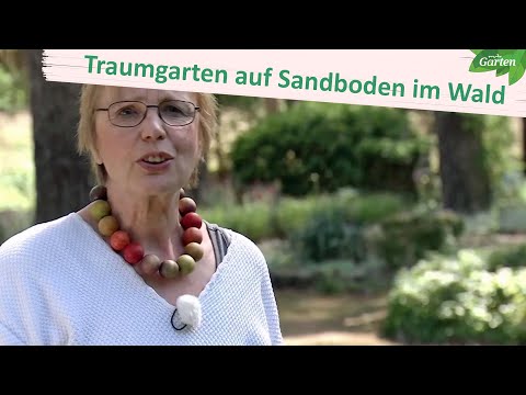 Dream garden on sandy soil in the forest – lovingly and expertly designed | MDR Garden