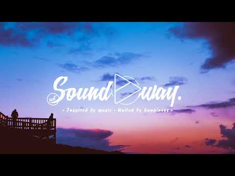 De Hofnar feat. Son Of Patricia - Breakup Song