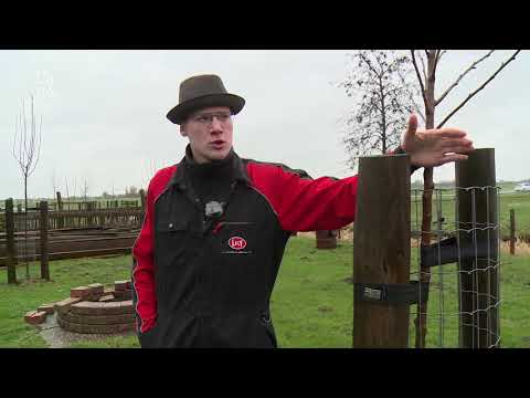 Boer in Nieuw-Lekkerland plant bomen in strijd tegen CO2: 'We kunnen een schakeltje zijn'