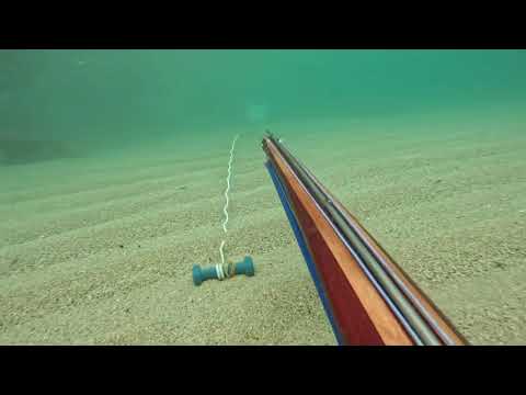 Tiro al bersaglio 🎯 🩵#arbalete #fishing #speargun #pescasubmarina #woodworking #handmade #pescasub