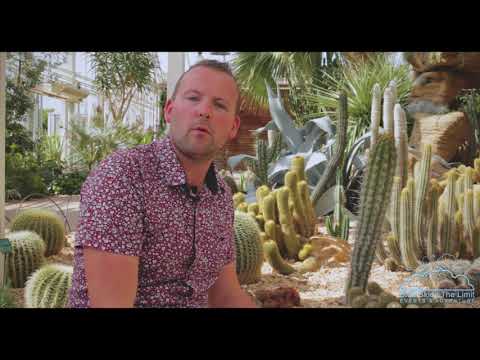 Gardener Steve Visits RHS Wisley - Blue Skies The Limit - Garden Trips