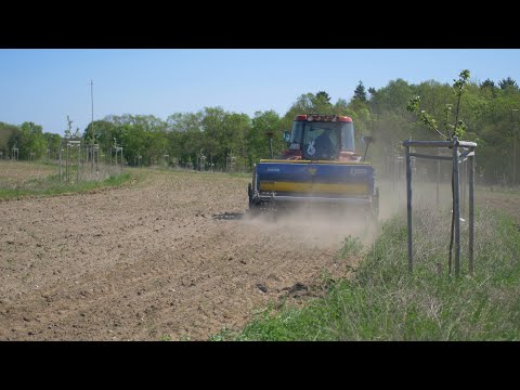 Keyline Design & Baumfeldwirtschaft: Agroforst Online Workshop Teil 3 mit Philipp Gerhardt