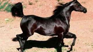 Saratoga Ruge el motor