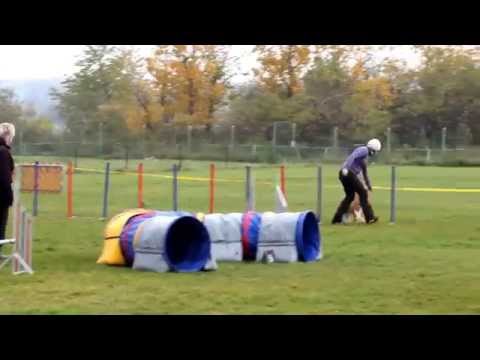 Fox-Arya Ice Age Ratenice - 1.místo