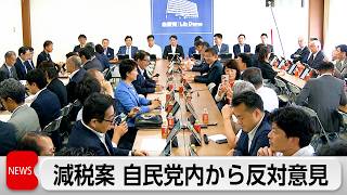 消費税減税案　自民税調で反対意見相次ぐ　調整難航か