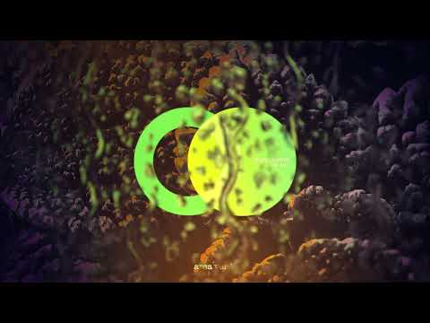 Space Castorz - Somewhere (Original Mix) // Area Verde