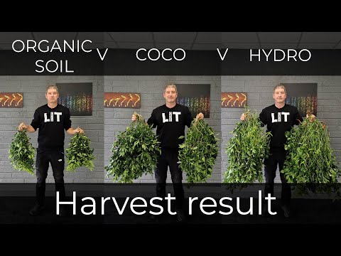 Soil vs Coco vs Hydro Yield result