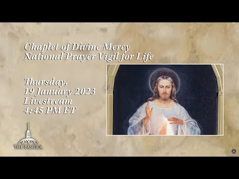 Chaplet of Divine Mercy - National Prayer Vigil for Life - January 19, 2023