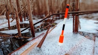На что клюет крупный карася