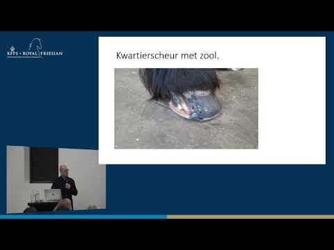 HK 2026 – Hoefverzorging bij het Friese paard | Hilbert Lemstra CEF