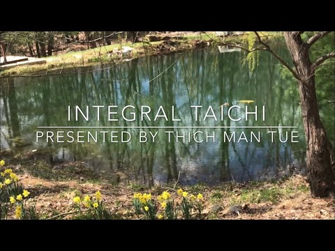 20 Minute Daily Routine Integral Taichi Qigong ( Full Version)( Silent)