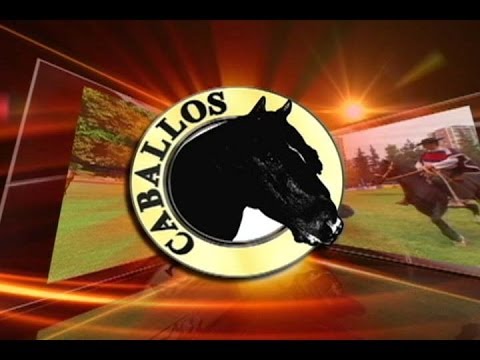CABALLOS - CAPÍTULO 564