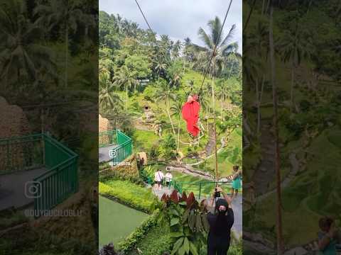 Rüyayla gerçeğin arasında, sanki cennetin tam kalbindeyim… #duyguciloglu #Arts #bali #alasharum