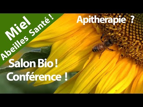 Nature ? Ecologie ?  Miel et abeilles ! Santé ! Proteger les abeille contre les frelons ! Conférence Video